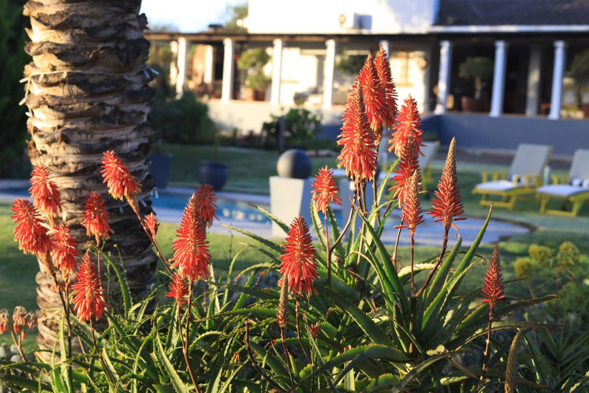 Thylitshia Villa Country Guest House Oudtshoorn Buitenkant foto