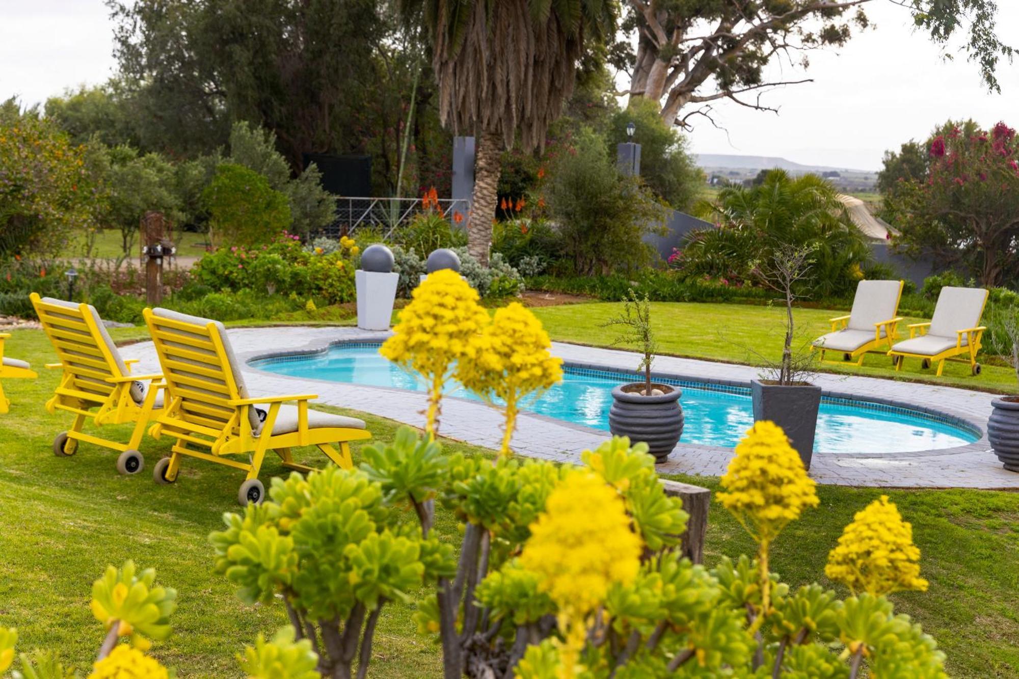 Thylitshia Villa Country Guest House Oudtshoorn Buitenkant foto
