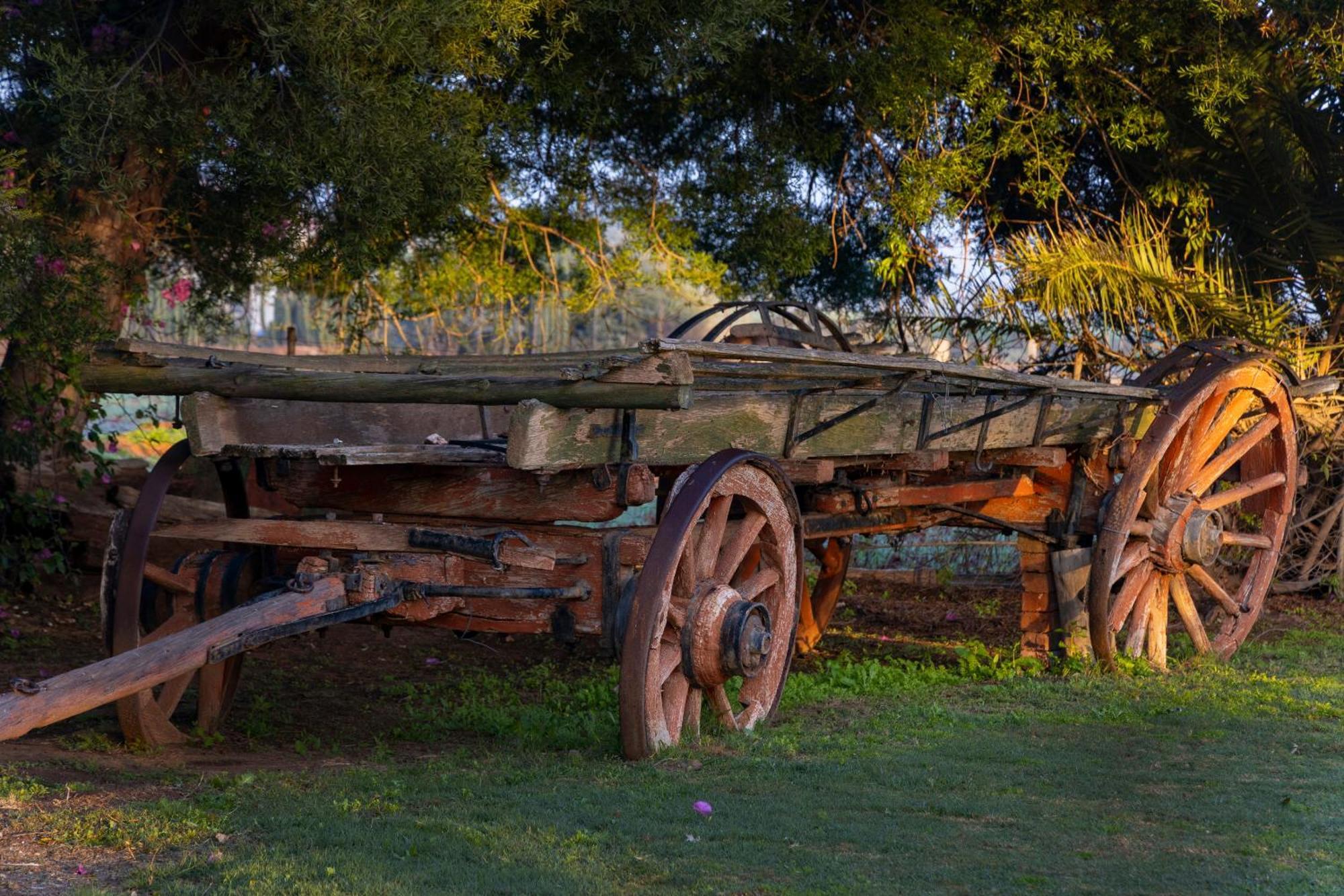 Thylitshia Villa Country Guest House Oudtshoorn Buitenkant foto