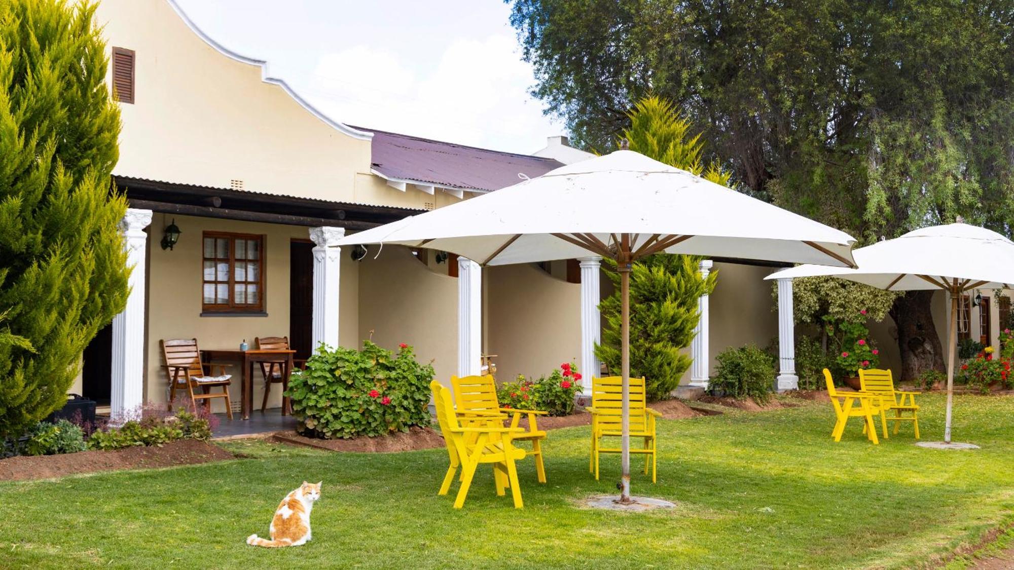 Thylitshia Villa Country Guest House Oudtshoorn Buitenkant foto