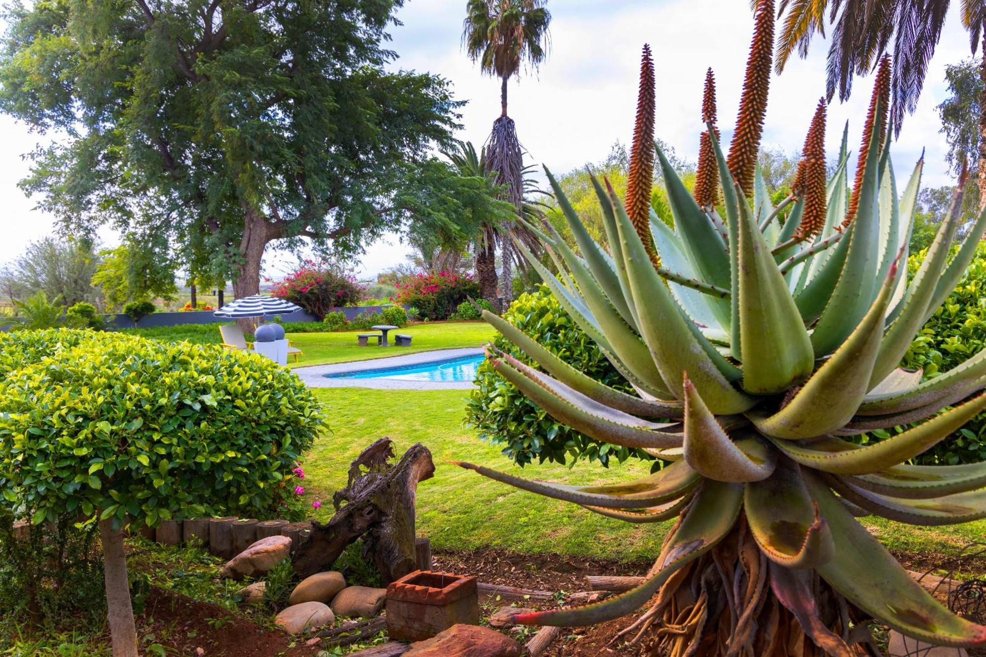 Thylitshia Villa Country Guest House Oudtshoorn Buitenkant foto