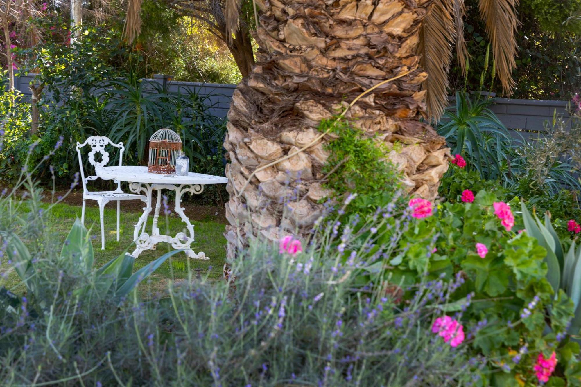 Thylitshia Villa Country Guest House Oudtshoorn Buitenkant foto