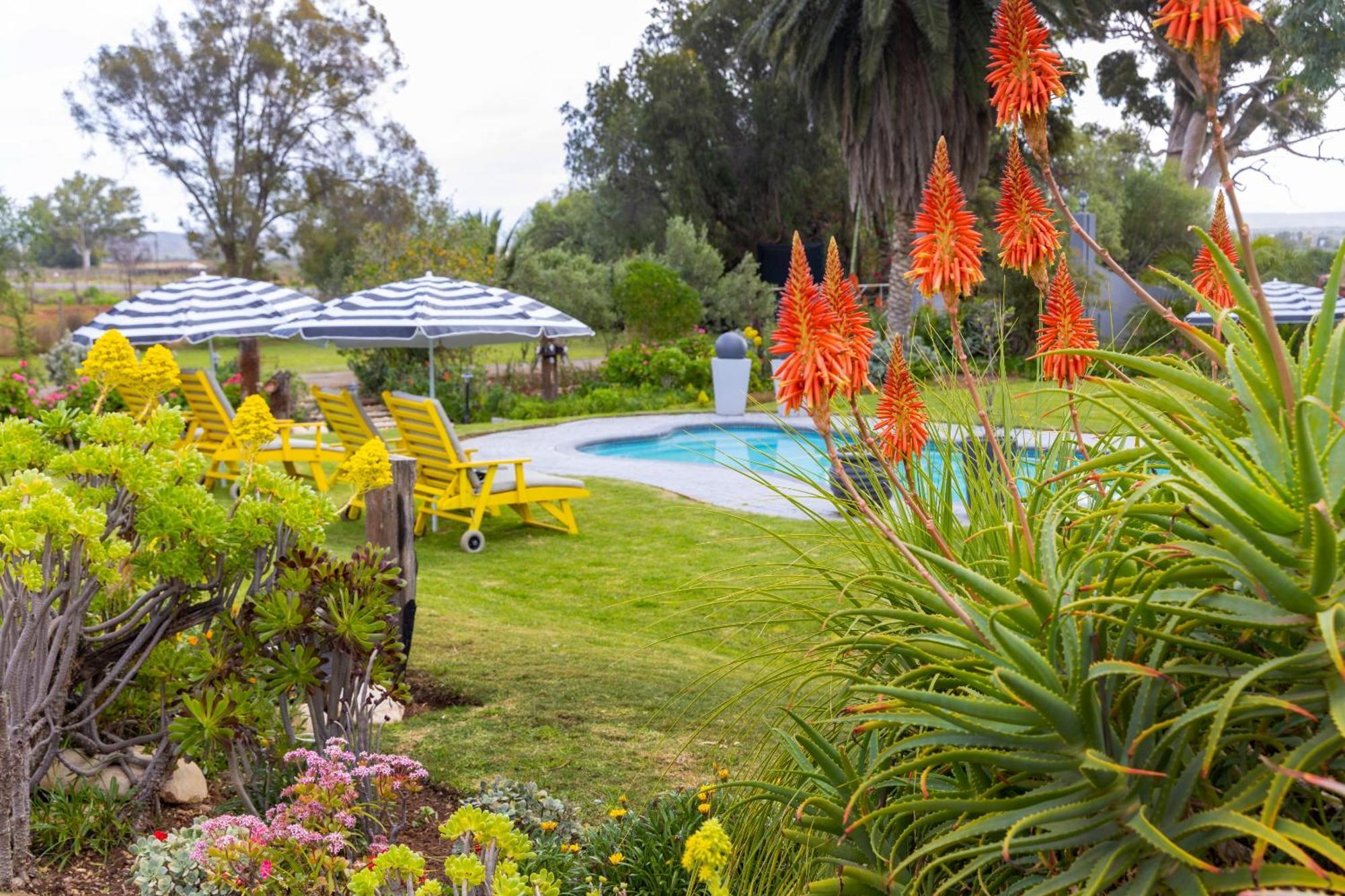 Thylitshia Villa Country Guest House Oudtshoorn Buitenkant foto